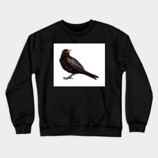 Blackbird Crewneck Sweatshirt